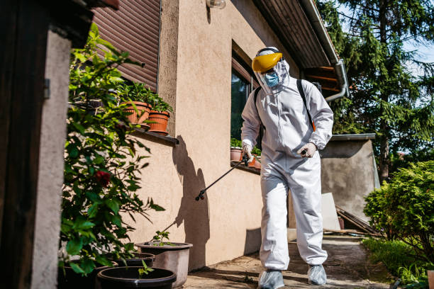 Best Insect Control  in Thomasville, AL