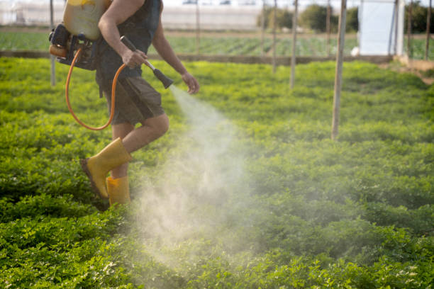 Best Pest Control for Restaurants  in Thomasville, AL