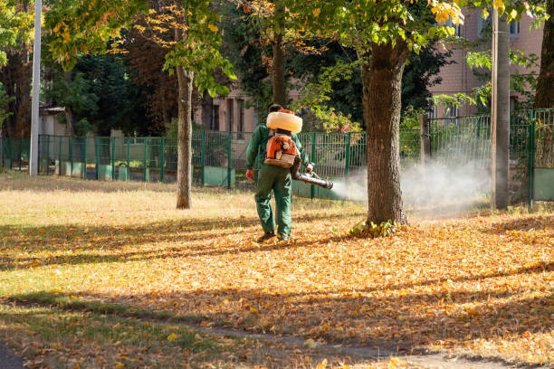 Wasp Removal Services in Thomasville, AL