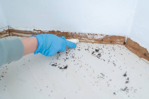 Best Affordable Pest Control Services  in Thomasville, AL